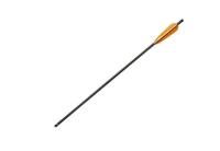 strela-arbaletnaya-karbonovaya-16