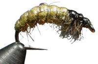 Mushka Nimfa Mushka Nimfa