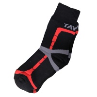 Termonoski Tajger (CHernyj) Termonoski Tajger (CHernyj)