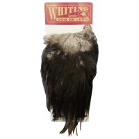 sedlo-petuha-polovina-whiting-coq-de-leon-bronze-saddle-black sedlo-petuha-polovina-whiting-coq-de-leon-bronze-saddle-black