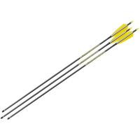 strela-luchnaya-karbonovaya-centershot-anarchy-500-naturalnoe-operenie 1 strela-luchnaya-karbonovaya-centershot-anarchy-500-naturalnoe-operenie 1