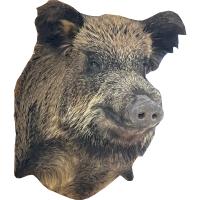 chuchelo-golova-kabana 1 chuchelo-golova-kabana 1