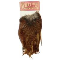 sedlo-petuha-polovina-whiting-coq-de-leon-bronze-saddle-brown
