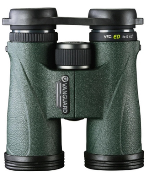 Binokl' Vanguard VEO ED 8x42, zelenyj5 Binokl' Vanguard VEO ED 8x42, zelenyj5