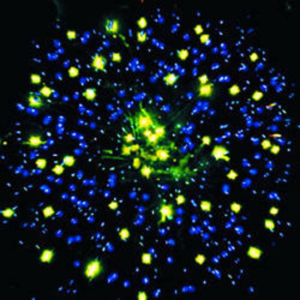 batareya-salyutov-novogodnyaya-shumiha 2 batareya-salyutov-novogodnyaya-shumiha 2