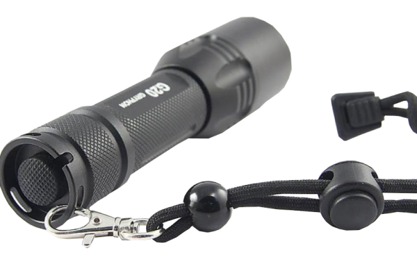 Fonar' YArkij Luch G20 ver.2 Gryphon3 Fonar' YArkij Luch G20 ver.2 Gryphon3