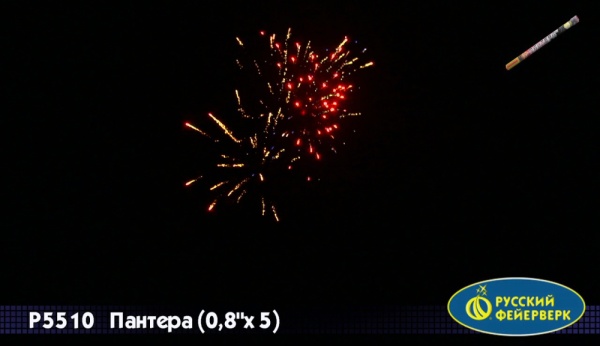 rimskaya-svecha-pantera-2 rimskaya-svecha-pantera-2