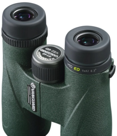 Binokl' Vanguard VEO ED 8x42, zelenyj4 Binokl' Vanguard VEO ED 8x42, zelenyj4