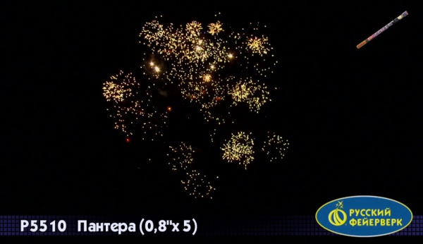 rimskaya-svecha-pantera-3 rimskaya-svecha-pantera-3