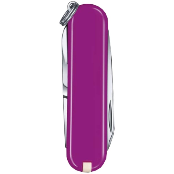 nozh-brelok-victorinox-0-6223-52g-classic-sd-tasty-grape 3